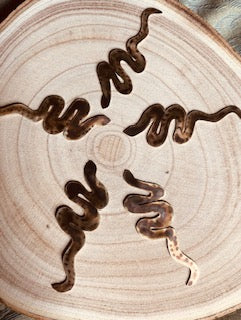 Smooth Snake Bookmark